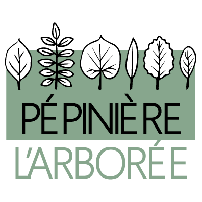 arbres fruitiers et essences forestières 