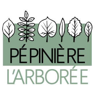 logo-pepiniere-larboree copie pépiniere l'Arborée