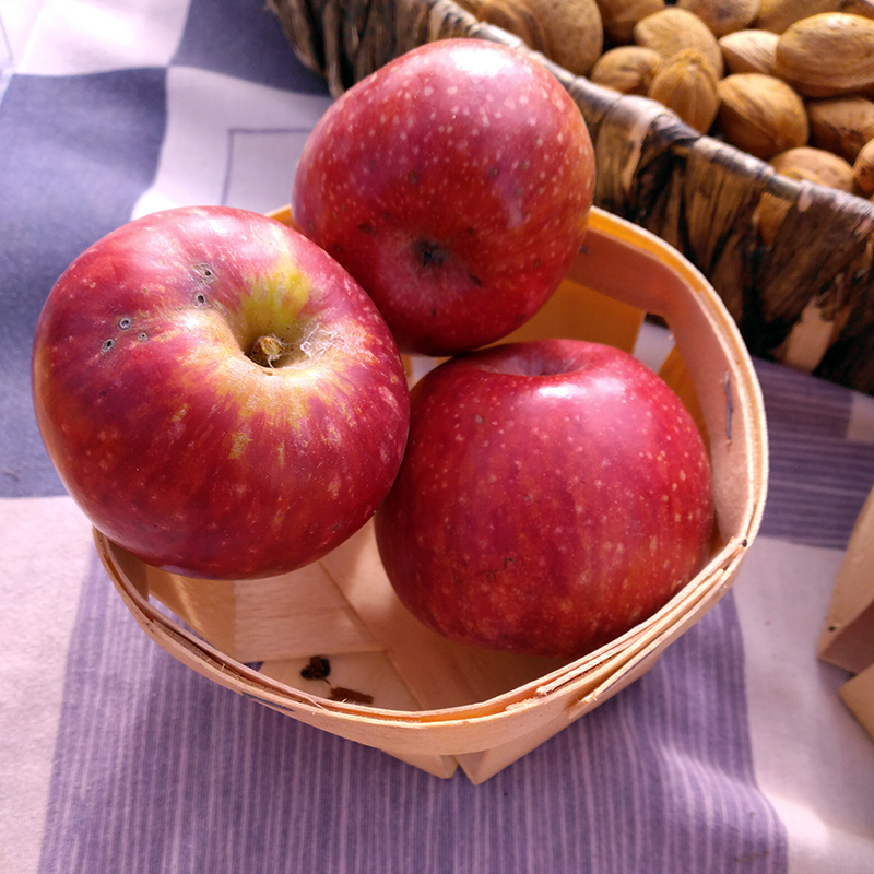 Pommier Vauriasse