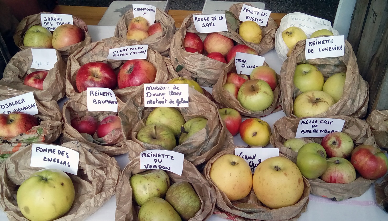 pomme courbis